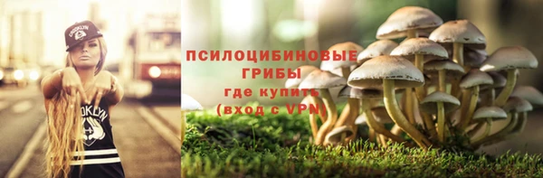 стафф Верхний Тагил