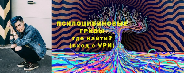 гашик Волоколамск