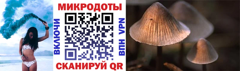 Галлюциногенные грибы мухоморы  Жирновск 