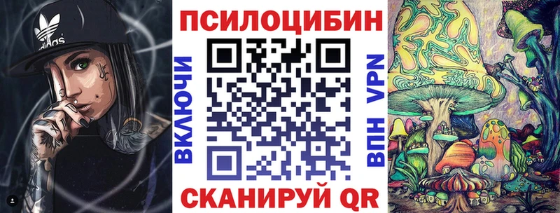 Псилоцибиновые грибы Cubensis Жирновск